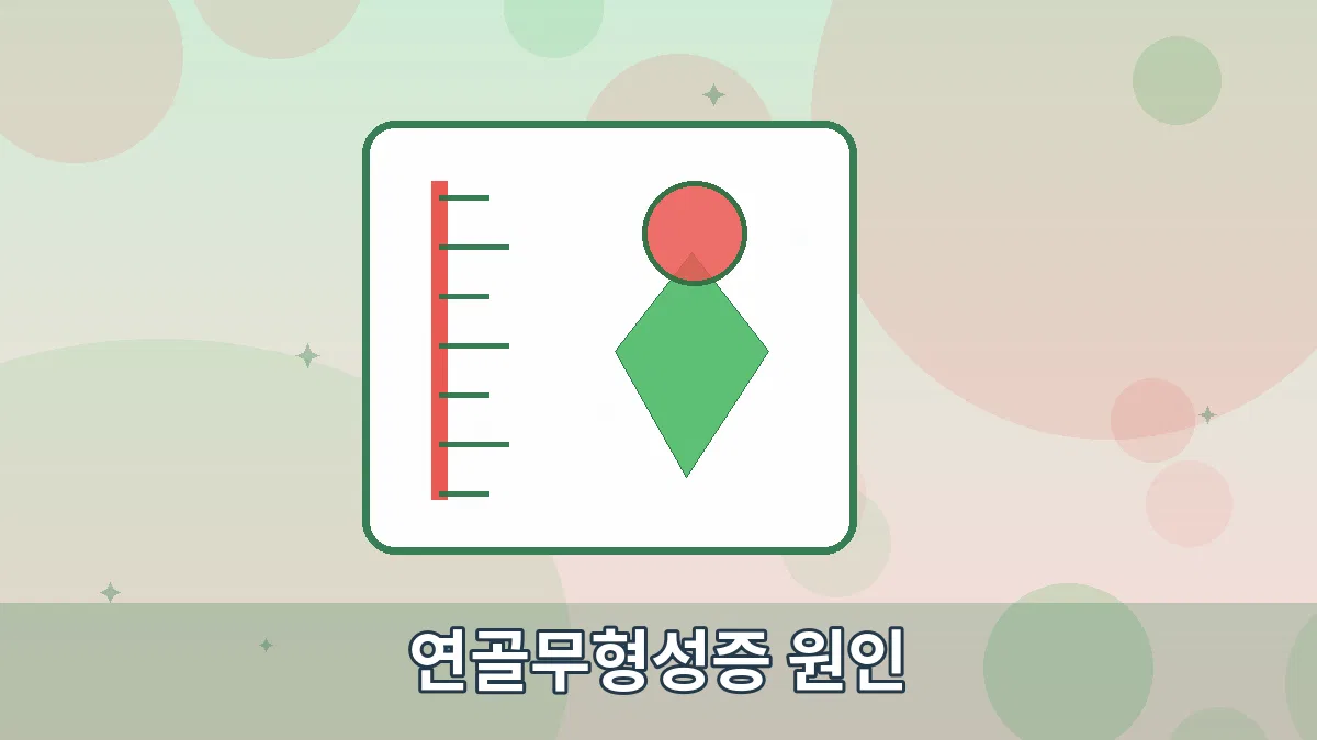 연골무형성증 원인 안내 이미지 3